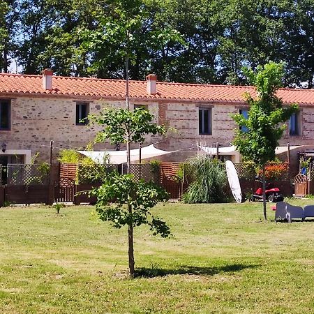 Les Appartements Du Mas Riols Saint-Cyprien  Bagian luar foto