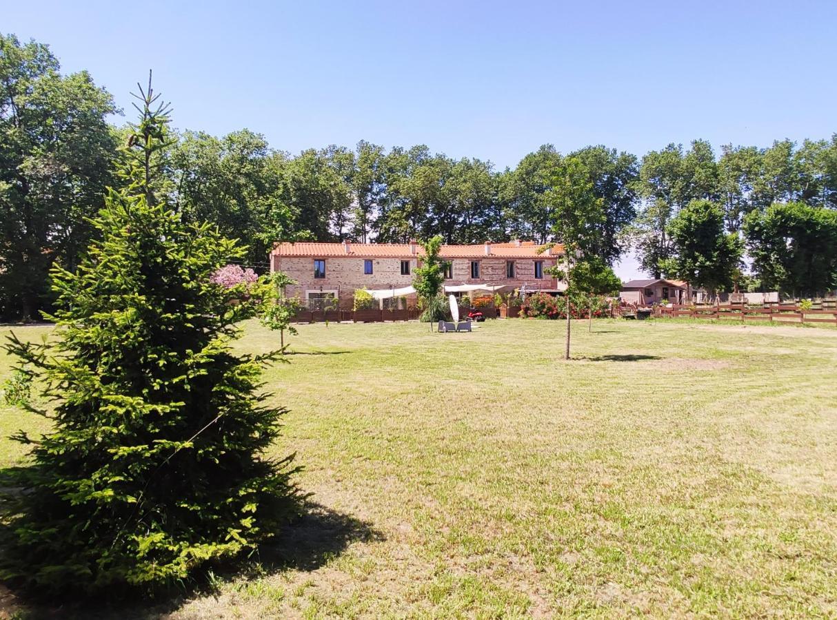 Les Appartements Du Mas Riols Saint-Cyprien  Bagian luar foto